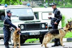 Задържаха 23-ма нелегални имигранти на българо-гръцката граница