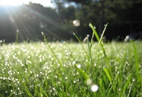 Днес слънце и дъжд. Максималните температури ще са между 28° и 33°