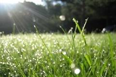 Днес слънце и дъжд. Максималните температури ще са между 28° и 33°