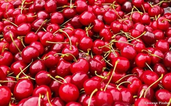 Производители на череши ще блокират един от изходите на АМ „Тракия“ в знак на протест