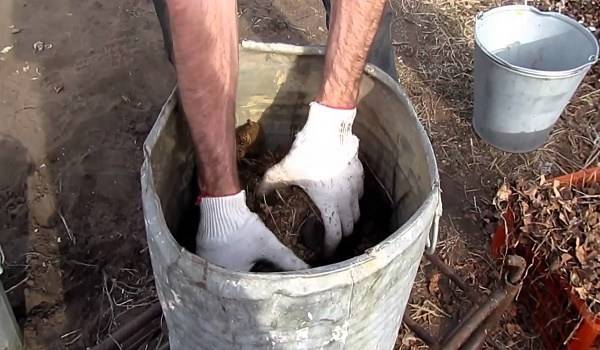 Гледах как комшията слага пакетчета чай в почвата и го помислих за луд, но след като разбрах какъв е ефекта… Ще започнете и Вие!