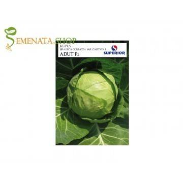Професионални семена на зеле Адут F1 – Супер ранно с висок добив от Супериор (глави до 2 кг)