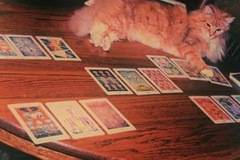 Таро на Алистър Кроули (Таро на Тот)