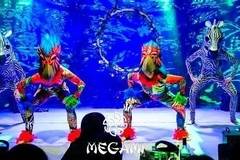 Megami Club в София с невиждано шоу – Welcome to the Jungle (СНИМКИ)