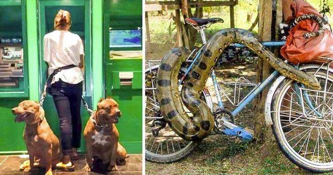 20 находчиви мерки против крадци, които няма да откриеш в магазина