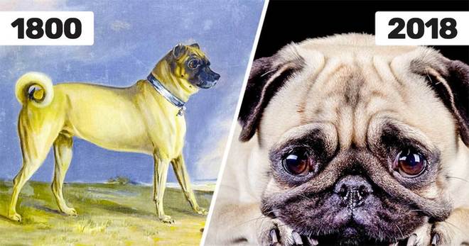 25 снимки, показващи как светът се променя драстично