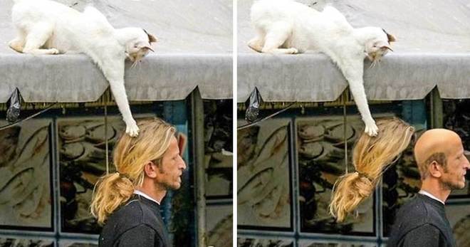 24 забавни снимки против лошо настроение