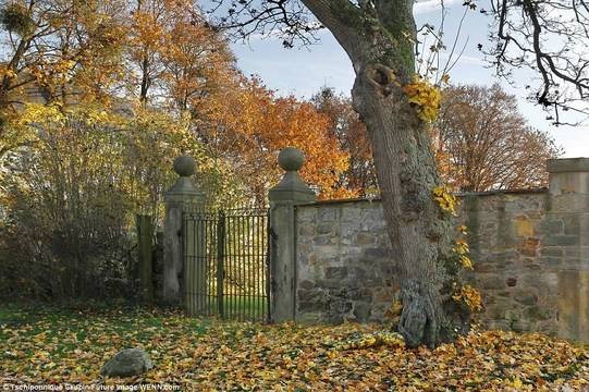 Проверете ума си! Можете ли да откриете жената на СНИМКАТА за 5 секунди?