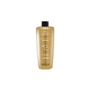 Hair Company Professional PAST TREATMENT SHAMPOO 250ml ШАМПОАН ЗА ЗАПЕЧАТВАНЕ НА ЦВЕТА 250мл
