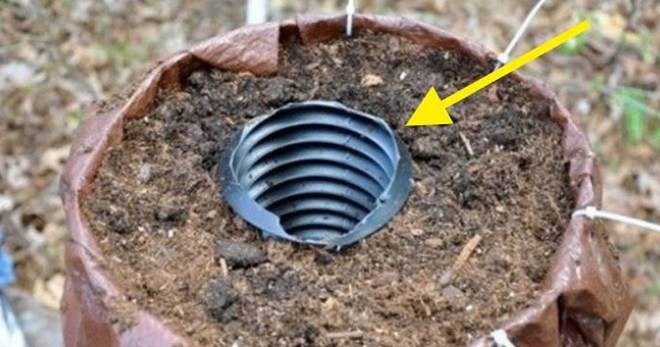 Гледах как съседа заравя пластмасови тръби в двора и се чудех какво прави, но само след месец… Вижте какво чудо сътвори!