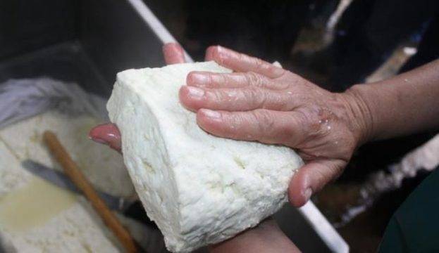 Поредно ограбване за българския народ: Пада националната защита на българското кисело мляко, сиренето, кашкавала и розовото…