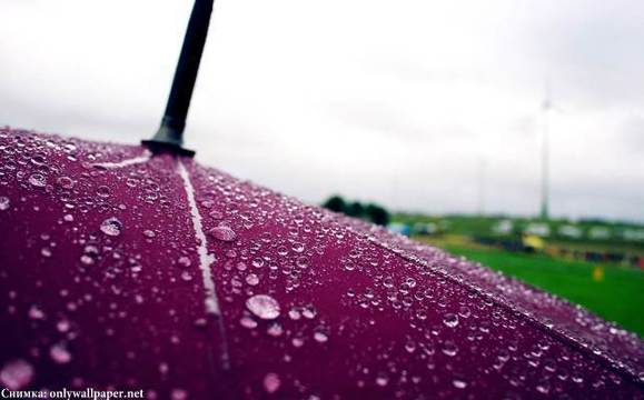 Доц. Рачев: До края а месеца ни очакват още 2-3 дъждовни вълни