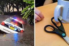 15+ необясними снимки, за които ще ти трябва наръчник, за да ги разбереш