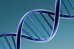 Индуцирани плурипотентни стволови клетки (iPSCs) и моделиране на неврологични заболявания: напредък и обещания