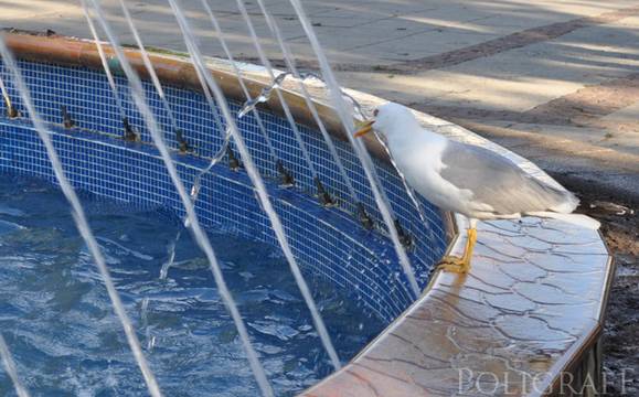 Предимно слънчево и горещо ще бъде времето днес