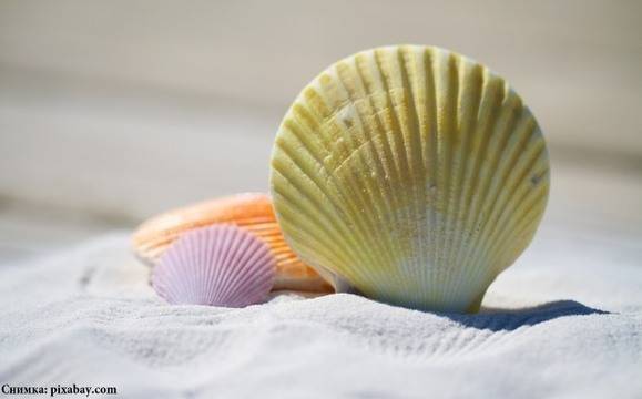 Днес следобед посрещаме астрономическото лято