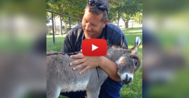 Това сладко магаренце е само на 8 часа живот! ГЛЕДАЙТЕ обаче как реагира, когато го човекът го прегърна (ВИДЕО)