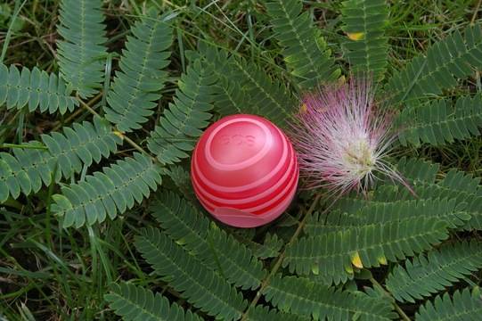 EOS Lip Balm Fresh Grapefruit SPF30