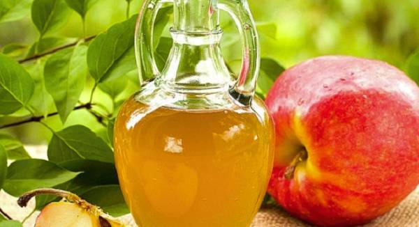 Вълшебна смес за 2 часа премахва всички мухи и други насекоми от дома ви