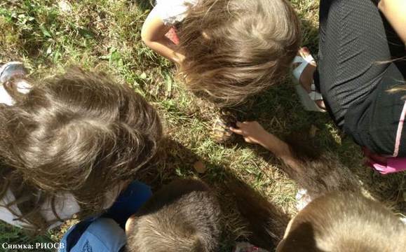 Деца спасиха костенурка от защитен вид