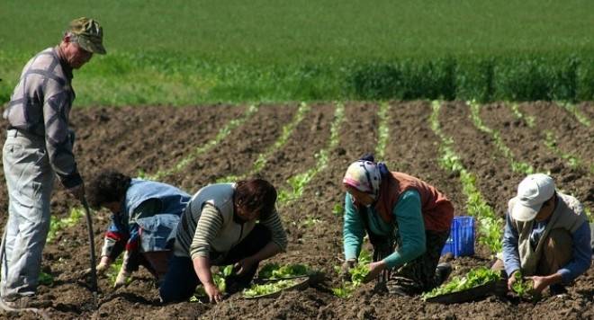 Майка гурбетчийка цял живот праща пари на сина си и жена му, но когато реши да се върне в България, адът се стовари върху нея!