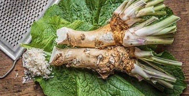 Най-силният природен лек някога: Коригира паметта с 80%, топи мазнините и подобрява зрението и слуха