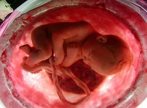 От начина, по който се ражда едно дете зависи здравето му когато порасне