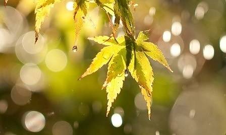 Днес слънчево с максимални температури между 27° и 32°. След обяд дъжд и гръмотевици