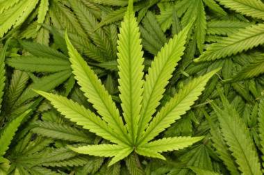 Задържаха младеж, заради притежание наркотици и отнемане на кола