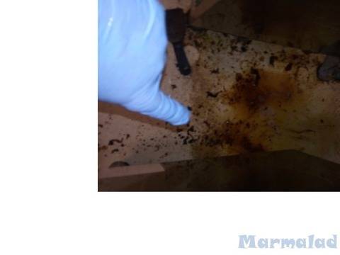 80 лв Почистване на заведения София