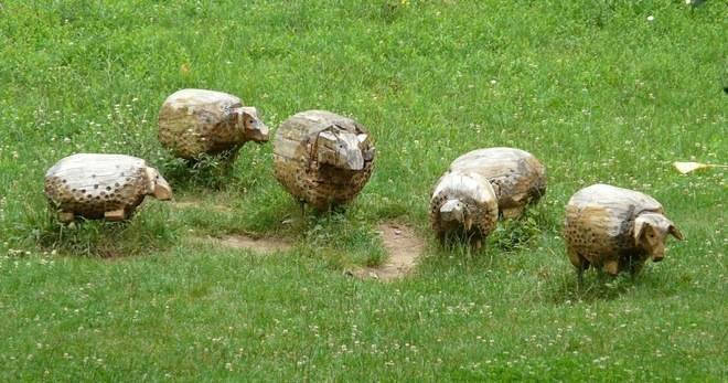 ДЪРВЕНИ ОВЦЕ ПОСРЕЩАТ ТУРИСТИТЕ НА ЕКО ПЪТЕКА ЗА ТВ КУЛА НА ВЕЛИКО ТЪРНОВО РАЗЛИЧНИТЕ НОВИНИ DIFFERENT NEWS