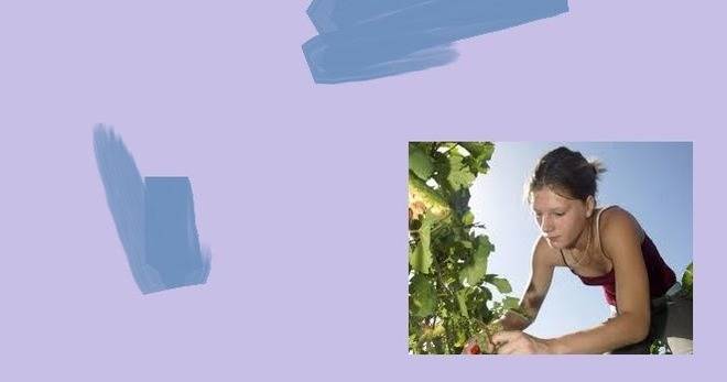 Пътуване при работа в чужбина.