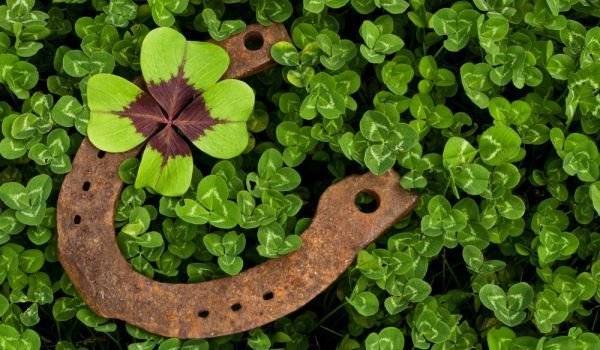 Три зодии, за които късметът ще работи с пълна сила през юли месец-Пътят им е осеян с 4-листни детелини