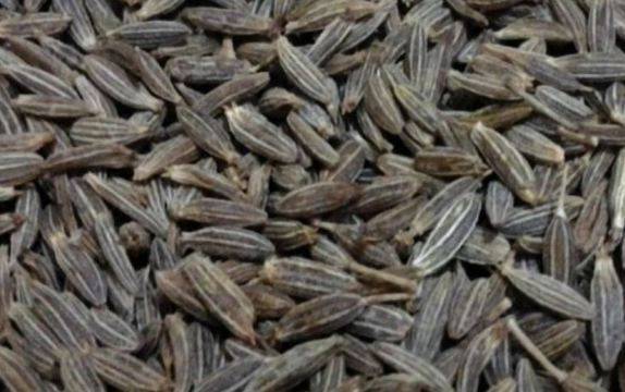 Билка, записана в Библията и Корана: Лекува всички болести, освен смъртта!