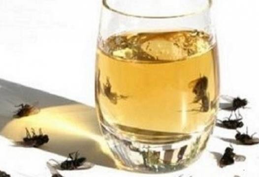 С тези два елементарни трика ще се отървете завинаги от комари, мухи и други гадинки в дома!