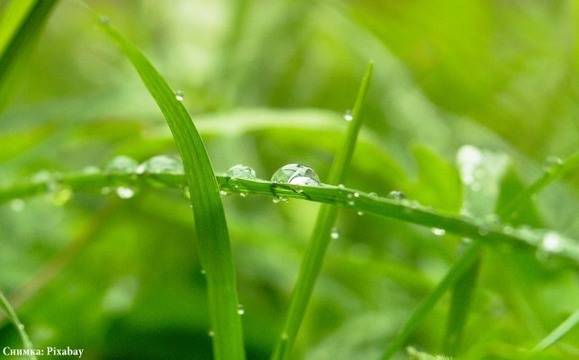 Пореден ден на дъжд и гръмотевици, в 8 области е в сила жълт код за опасно време