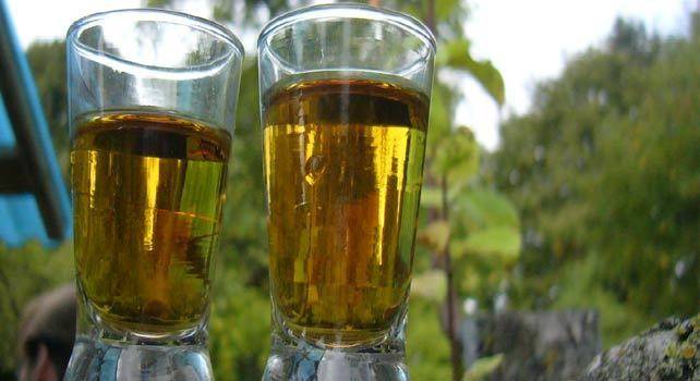 Болестите, които се лекуват с ракия