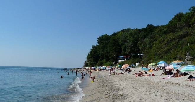 РАЗЛИЧНИТЕ НОВИНИ DIFFERENT NEWS