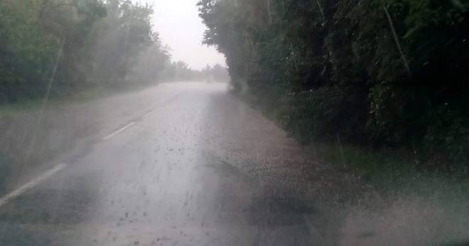 РАЗЛИЧНИТЕ НОВИНИ DIFFERENT NEWS