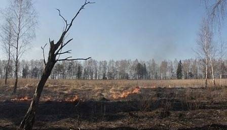 ООН: Пожарите в Северното полукълбо ще окажат дългосрочно влияние на климата