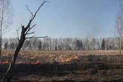 ООН: Пожарите в Северното полукълбо ще окажат дългосрочно влияние на климата