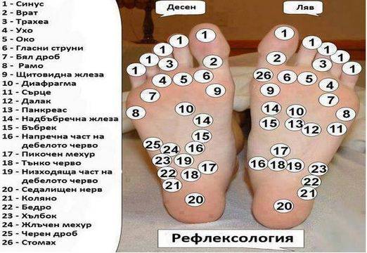 Излекувайте всичките си болести с древна китайска рефлексотерапия!