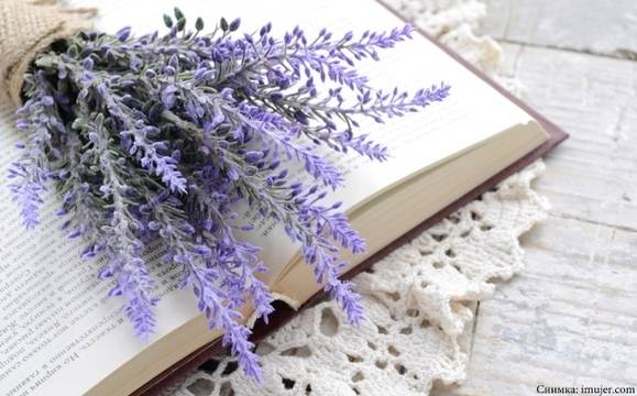 Вижте събитията в програмата на Дома на писателя за август