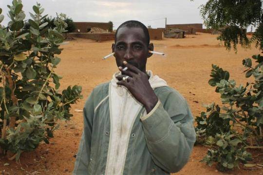 Писмо до тъщата от зет африканец