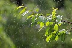 Днес с краткотрайни валежи. Максималните температури ще са между 28° и 33°