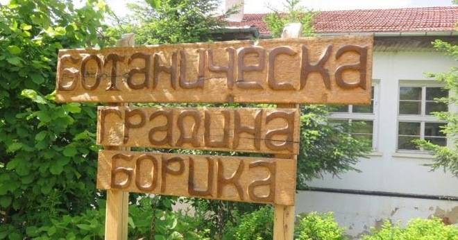 Ботаническа градина Борика
