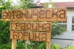 Ботаническа градина Борика