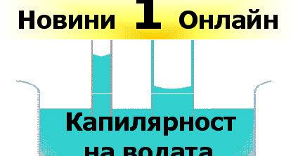 Капилярност на водата.