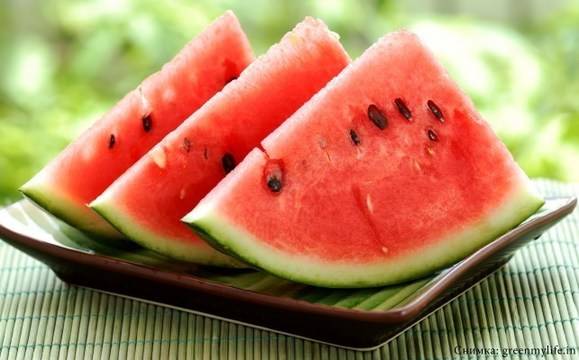 Светът отбелязва Международния ден на динята