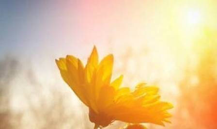 Днес предимно слънчево с максимални температури до 32°